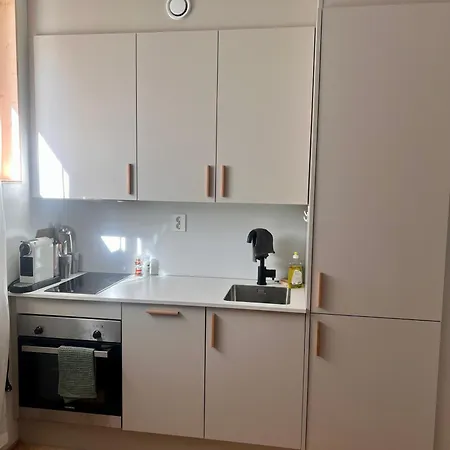Lägenhet Brand New Flat, Big Bathroom And Garden *